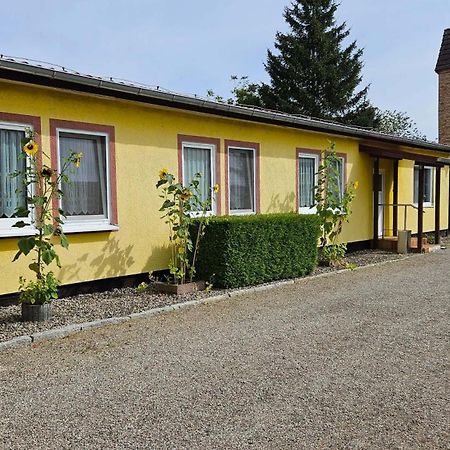 Ferienwohnungen "Zur Schamper Muehle" Gotthun エクステリア 写真