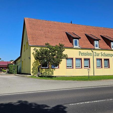Ferienwohnungen "Zur Schamper Muehle" Gotthun エクステリア 写真